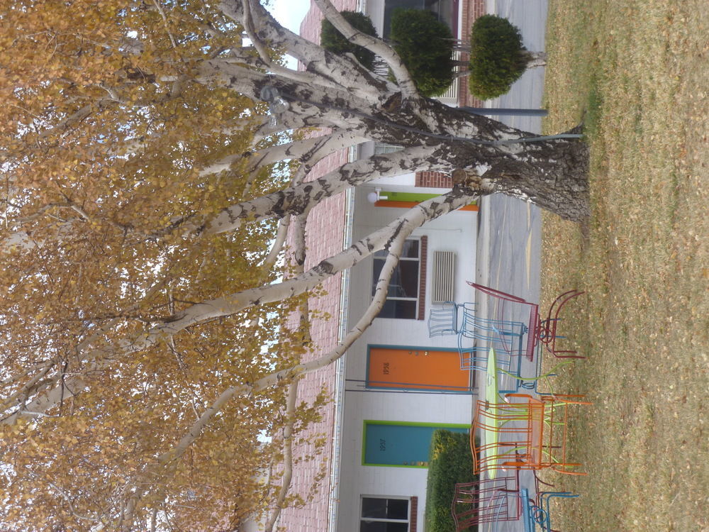 Motel Retro At Mesa